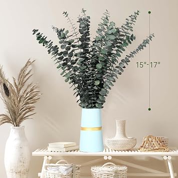 16 Pcs Dried Eucalyptus Stems 17'' Natural Real Greenery for Shower Hanging