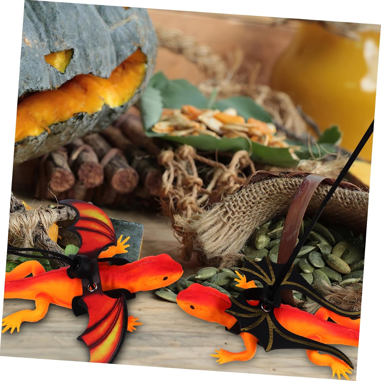 2Pcs Lizard Leashes for Bearded Dragons and Reptiles Safe and Stylish Outdoor Walking Harness for Pets