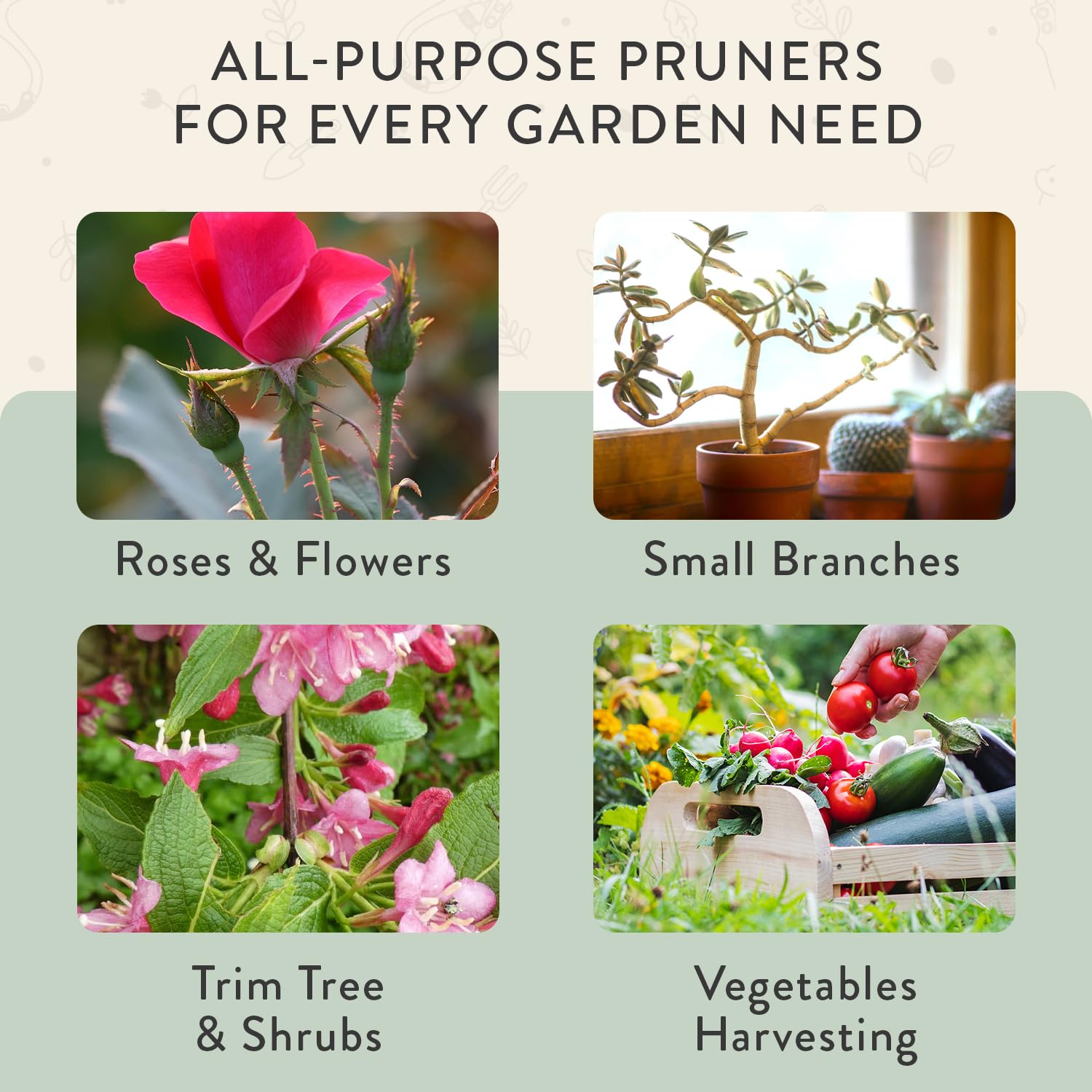Modern Sprout Hand Pruners - Bypass Scissors for Gardening -8 Modern Sprout Hand Pruners - Bypass Scissors for Gardening -8