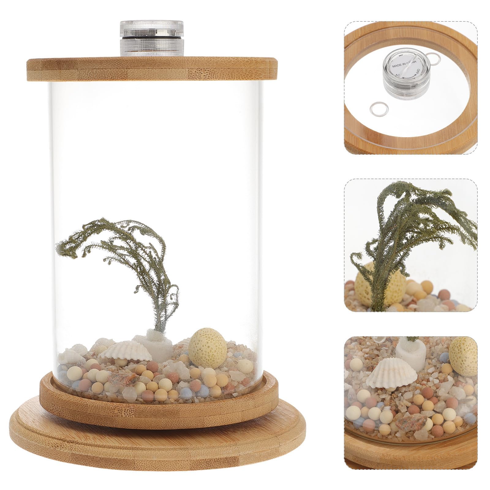 Dekoratives Aquarium für Schreibtisch als Büroaccessoire, Grün