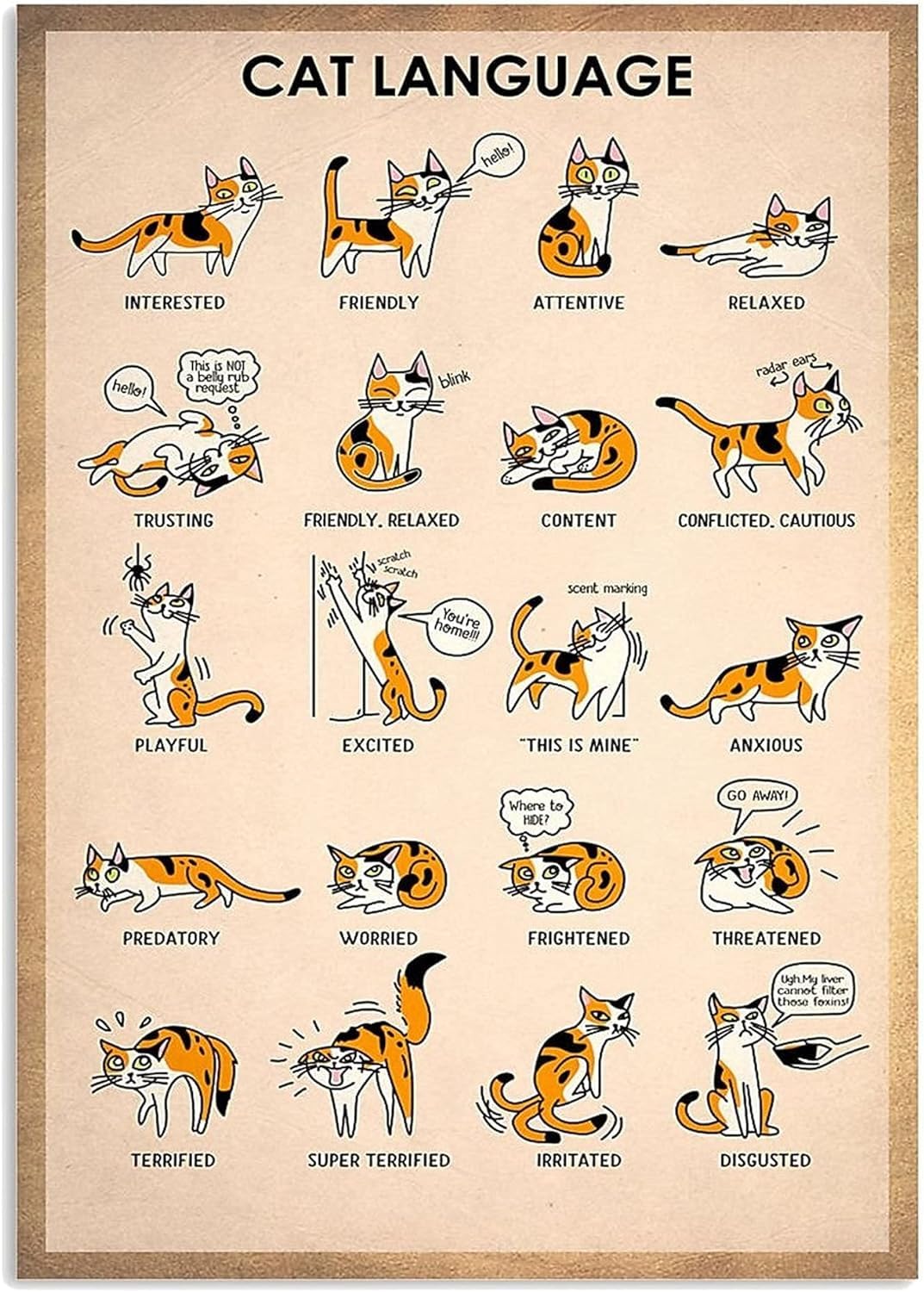 peiyeety Cat Knwoledge Posters Cat Language Metal Tin Sign Room Decor Farm Club Wall Decor Retro Plaque Club Home Decor Wall Decoration 8"x12"