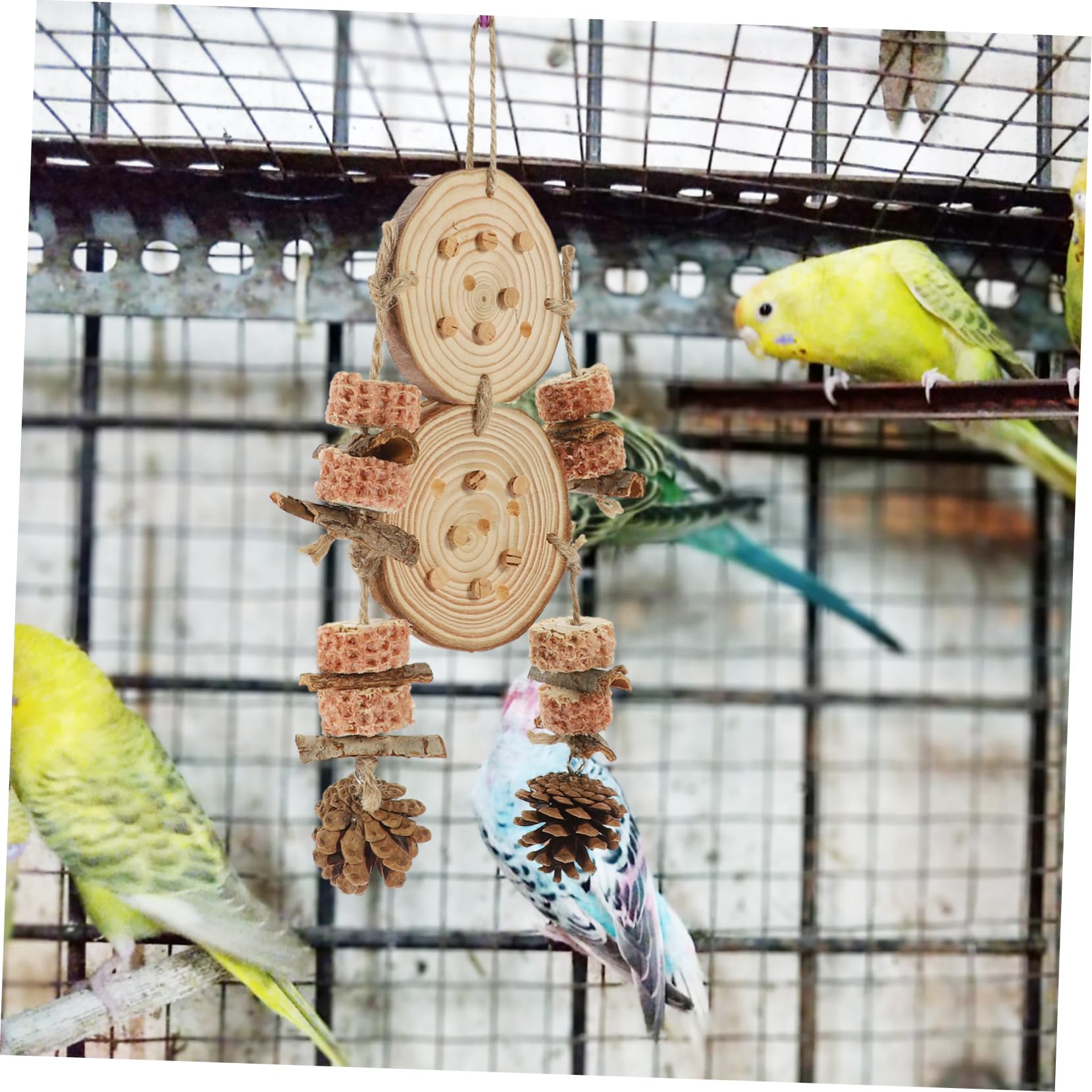 Kisangel 5 Pièces Perroquet Broie Le Bec Et Mâche des Jouets Jouet pour Animaux De Compagnie De Perruche De Balançoire D'Oiseau s De Calopsitte d'oiseaux Perroquet