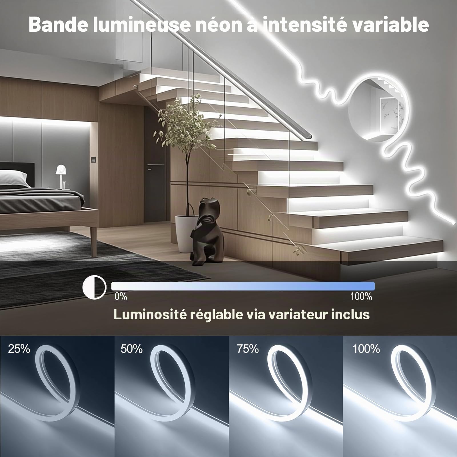 Ruban LED Néon 10M Dimmable 1200 LEDs Blanc Froid 6500K 24V | Bande Néon LED IP65 Étanche Silicone Flexible pour Cuisine Chambre Jardin Décoration Intérieure et Extérieure