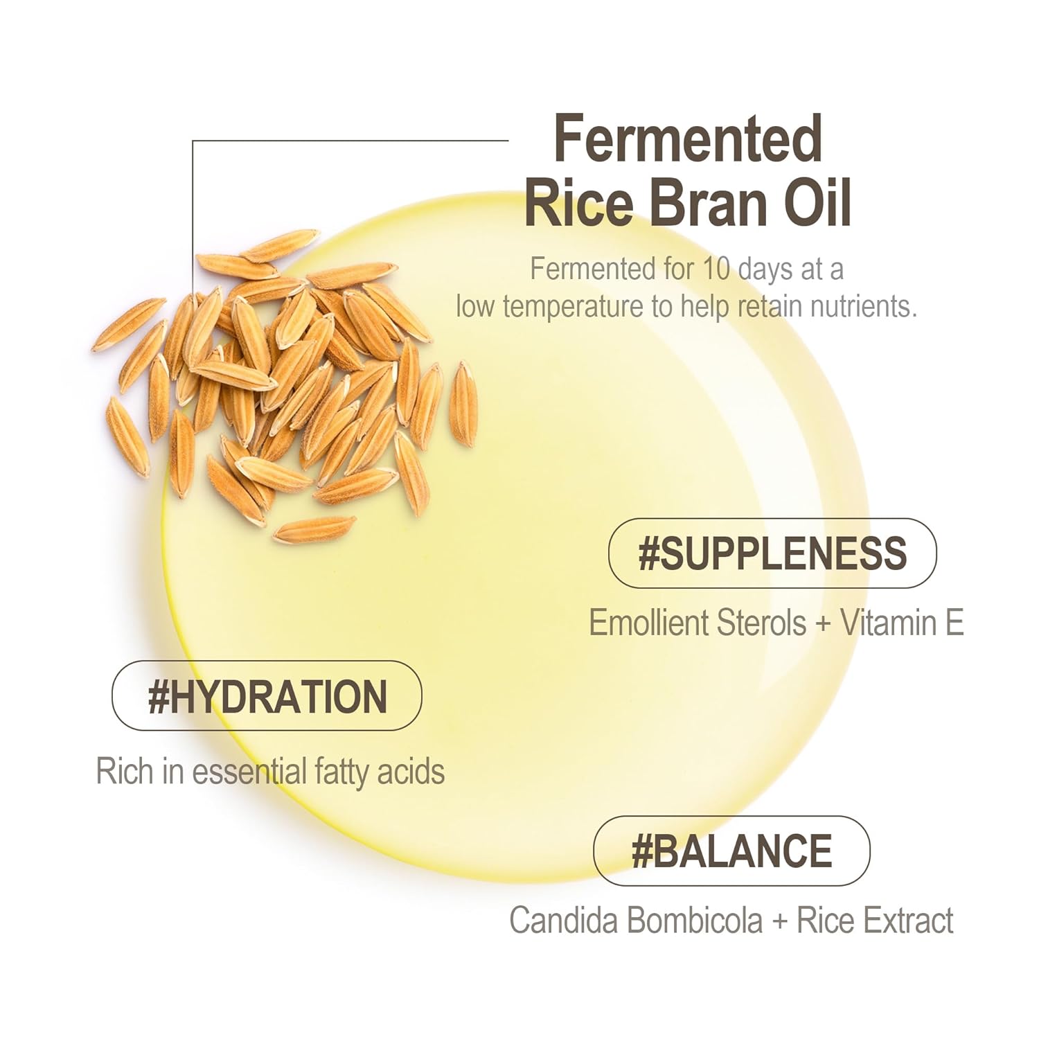 HAYEJIN Rice Bran Oil for Face | Face Moisturizer w/Fermented Rice Bran Oil | Korean Face Oil for Women | Face Serum for Glowing Skin | Korean Skin Care Facial Oils (Pack of 1, 1.01 Fl. Oz) - Image 4