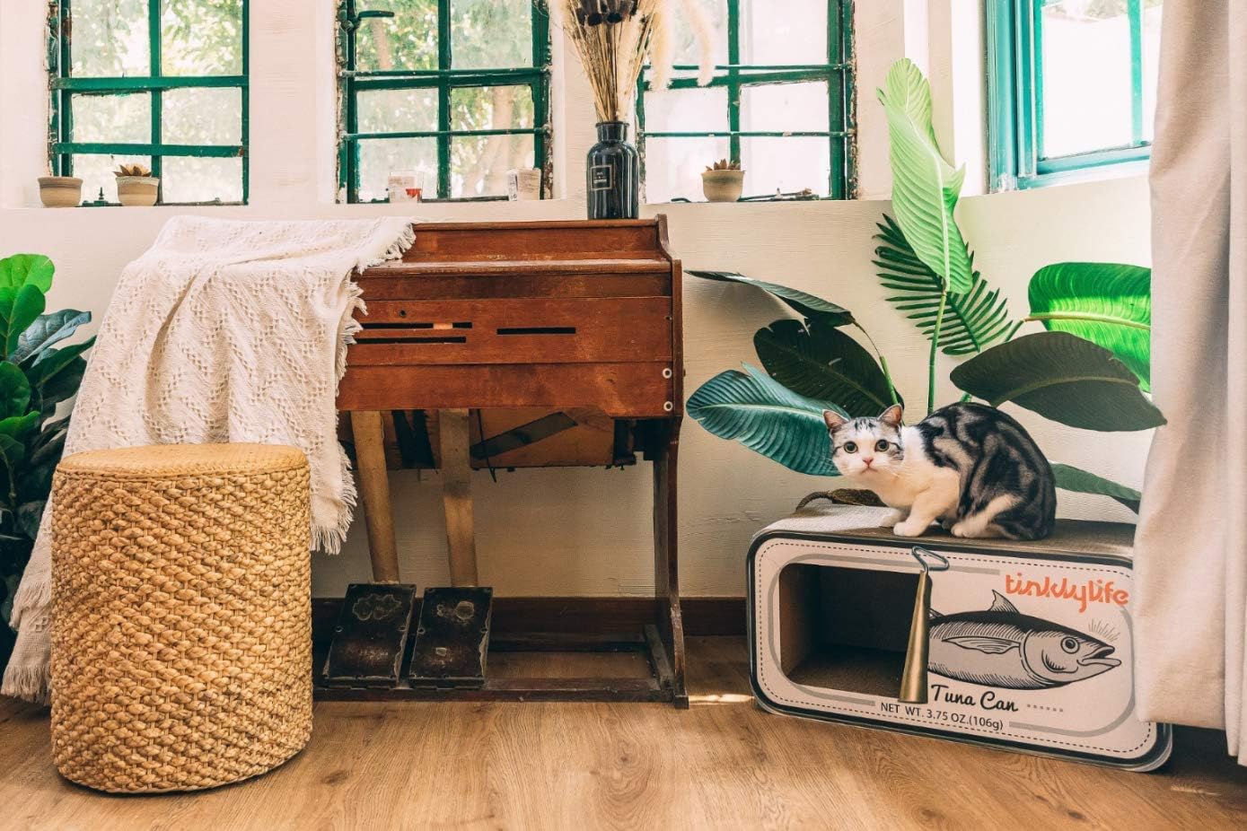 review Cat Condo Scratcher Post Cardboard, Canned Tuna Design Cat Scratching House Bed Furniture Protector, White