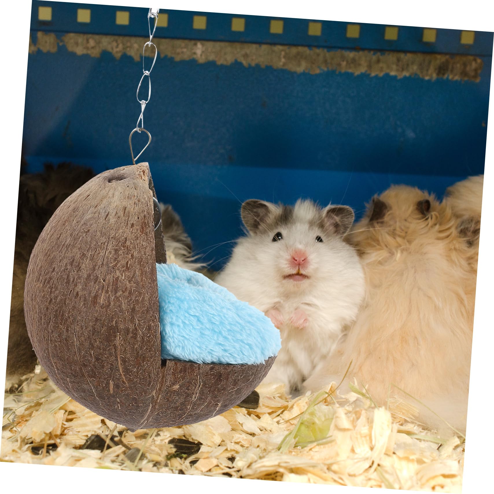 Yardwe 2stücke Coconut Shell Nest Cushion Für Hamster Meerschweinchen Und Ähnliche Kleine Tiere Beheizbares Schlafbett Natürlicher Kokosnuss Zufällige Farben Für Käfige Und