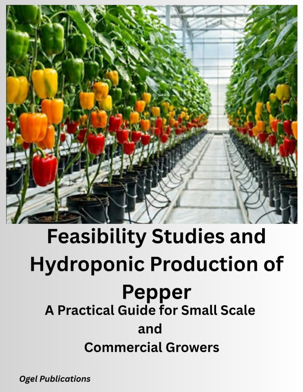 Feasibility Studies and Hydroponic Production of Pepper: A Practical Guide for Small Scale and Commercial Growers