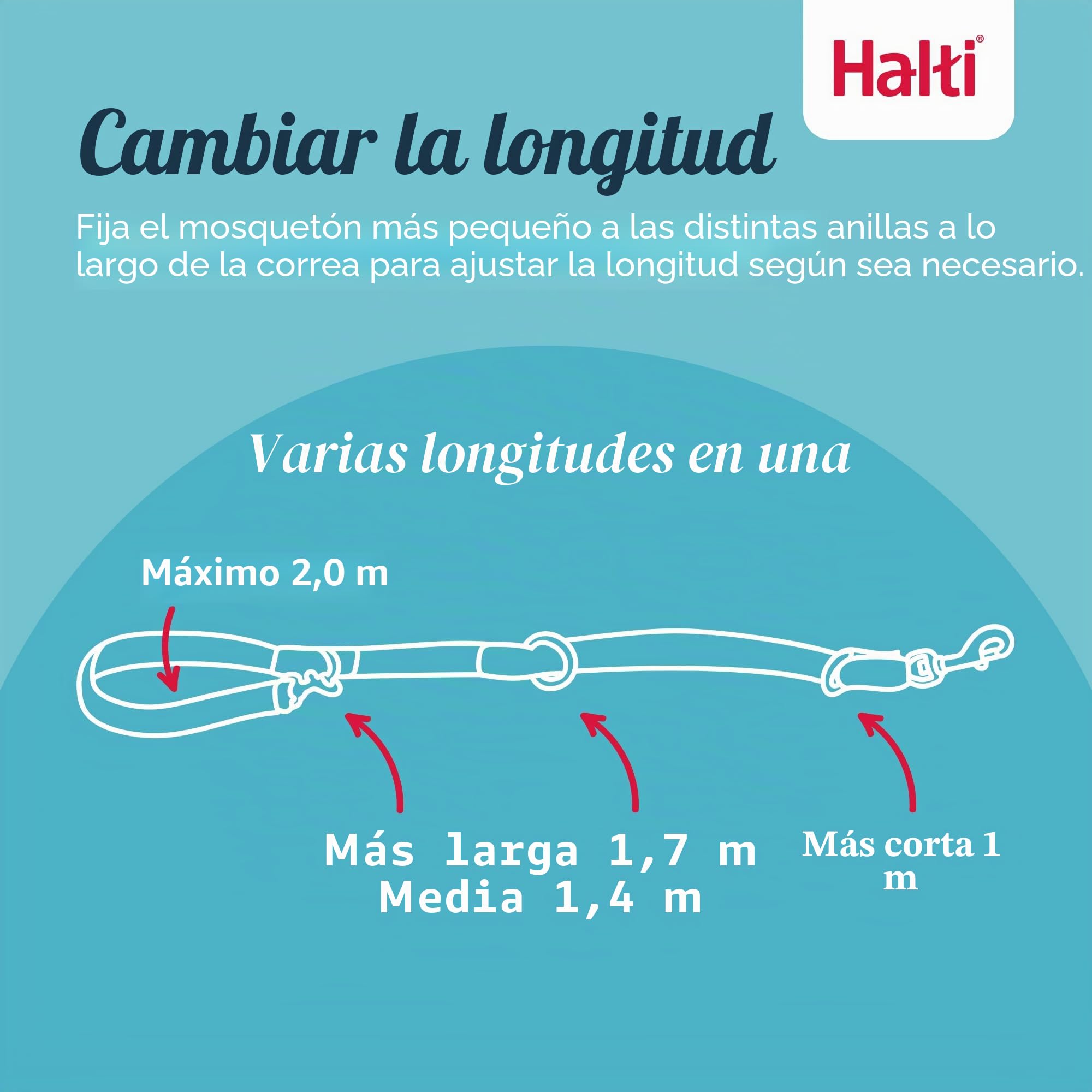 HALTI Headcollar Talla 3, Negro y Correa de Entrenamiento HALTI tamaño Grande, Paquete Combinado Negro - Evita Que tu Perro Tire de la Correa. Ajustable, Ligero con Banda para la Nariz Acolchada.