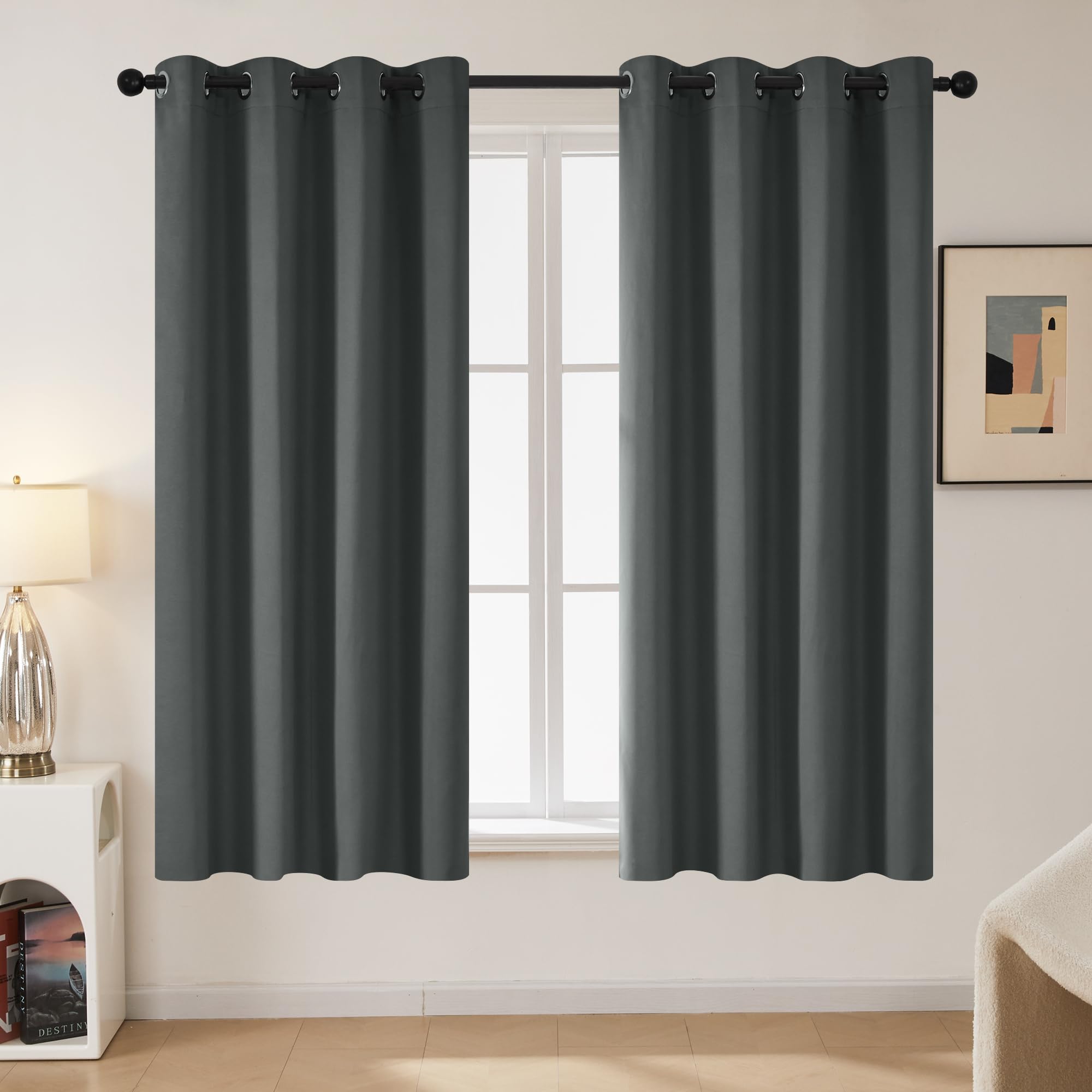 Deconovo Tende Oscuranti per Interni 2 Pezzi 160 CM Altezza, Termiche Isolanti, Anti-Rumore, con Anelli, Ideali per Camera da Letto e Soggiorno, 117x160 CM, Grigio Scuro