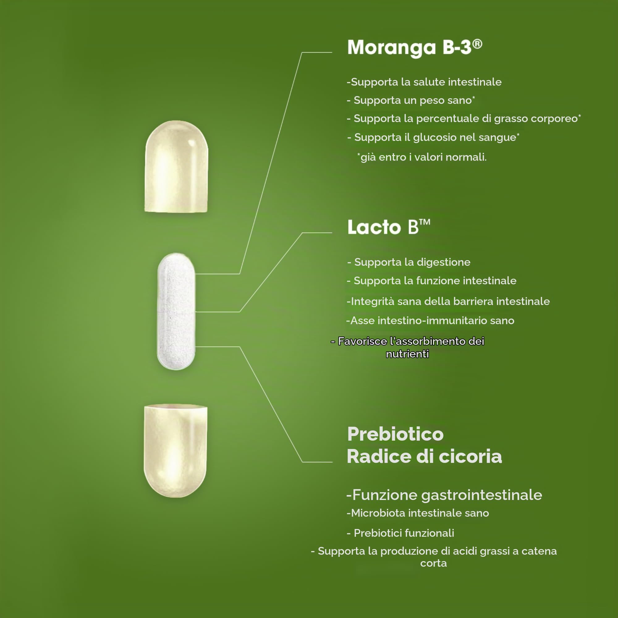 ProLon – L-Biome – 60 Capsule - Supporta Salute Intestinale- Probiotici e Prebiotici – Inulina – Lisina – Migliora la Digestione – Made in Italy