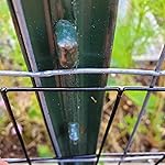 Review Image by MrMrsAmes MrMrsAmes