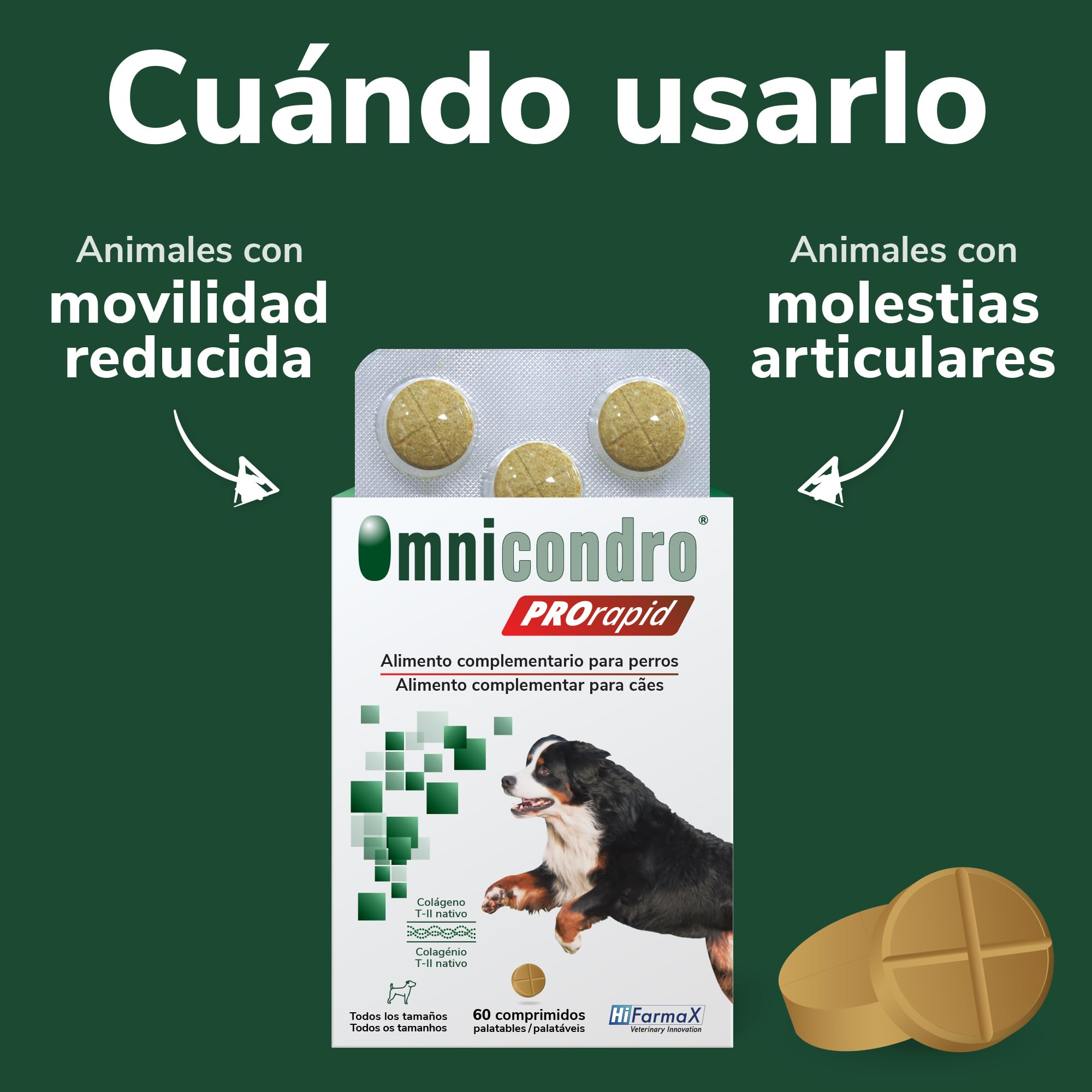 Omnicondro PROrapid Hifarmax - Condroprotector Perros con Vitaminas | Pastillas para Articulaciones Perros | Condroprotector con Colágeno | Caja de 60 Pastillas