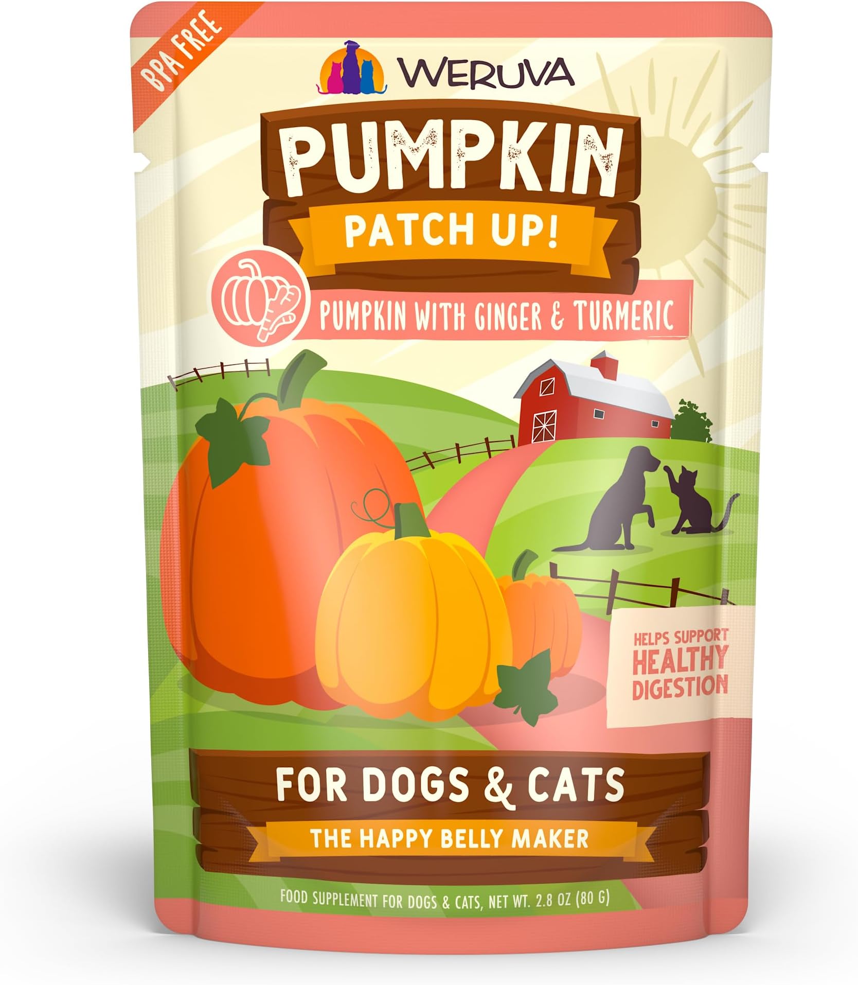 Pumpkin Patch Up!, Pumpkin with Ginger & Turmeric for Dogs & Cats, 2.8oz Pouch (Pack of 12)