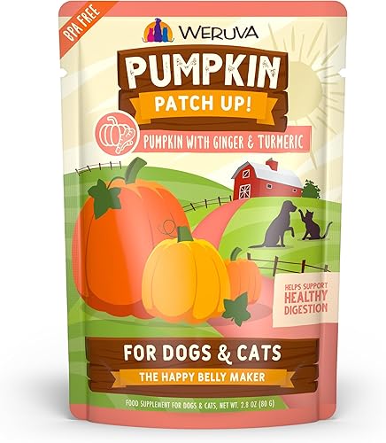 Weruva Pumpkin Patch Up!, Calabaza con jengibre y cúrcuma para perros y gatos, bolsa de 2.8 onzas (paquete de 12)