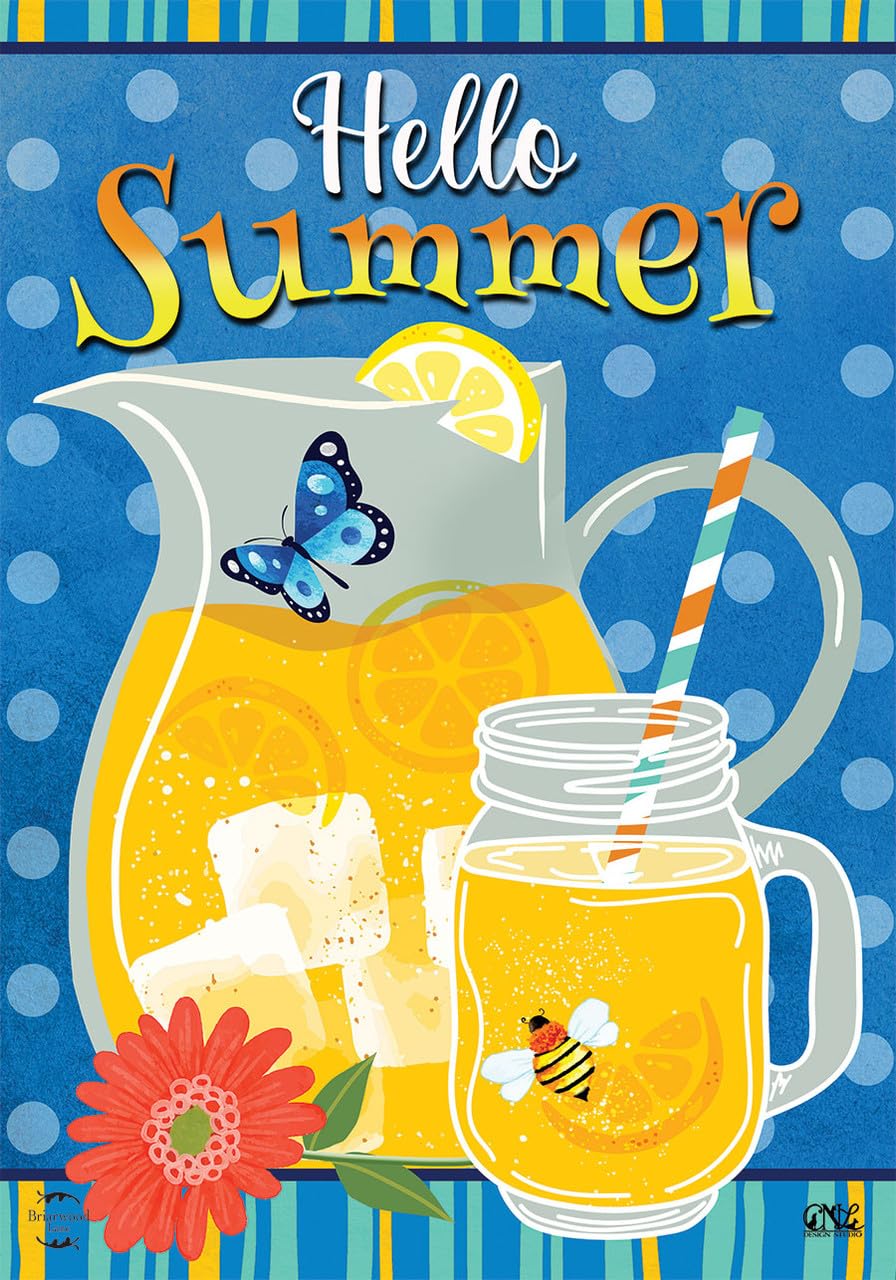 Briarwood Lane „Hallo Sommer“ Hausflagge – 101,6 X 71,1 Cm, Wetterfestes Polyester, Doppelseitig Bedruckt