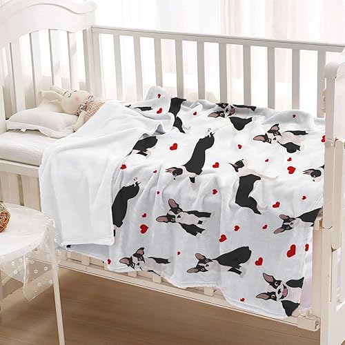 Miniatura 3 de Boston Terrier Bulldog - Manta de forro polar suave, cálida y ligera, para cama, sofá, automóvil, 40 x 30 pulgadas para mascotas