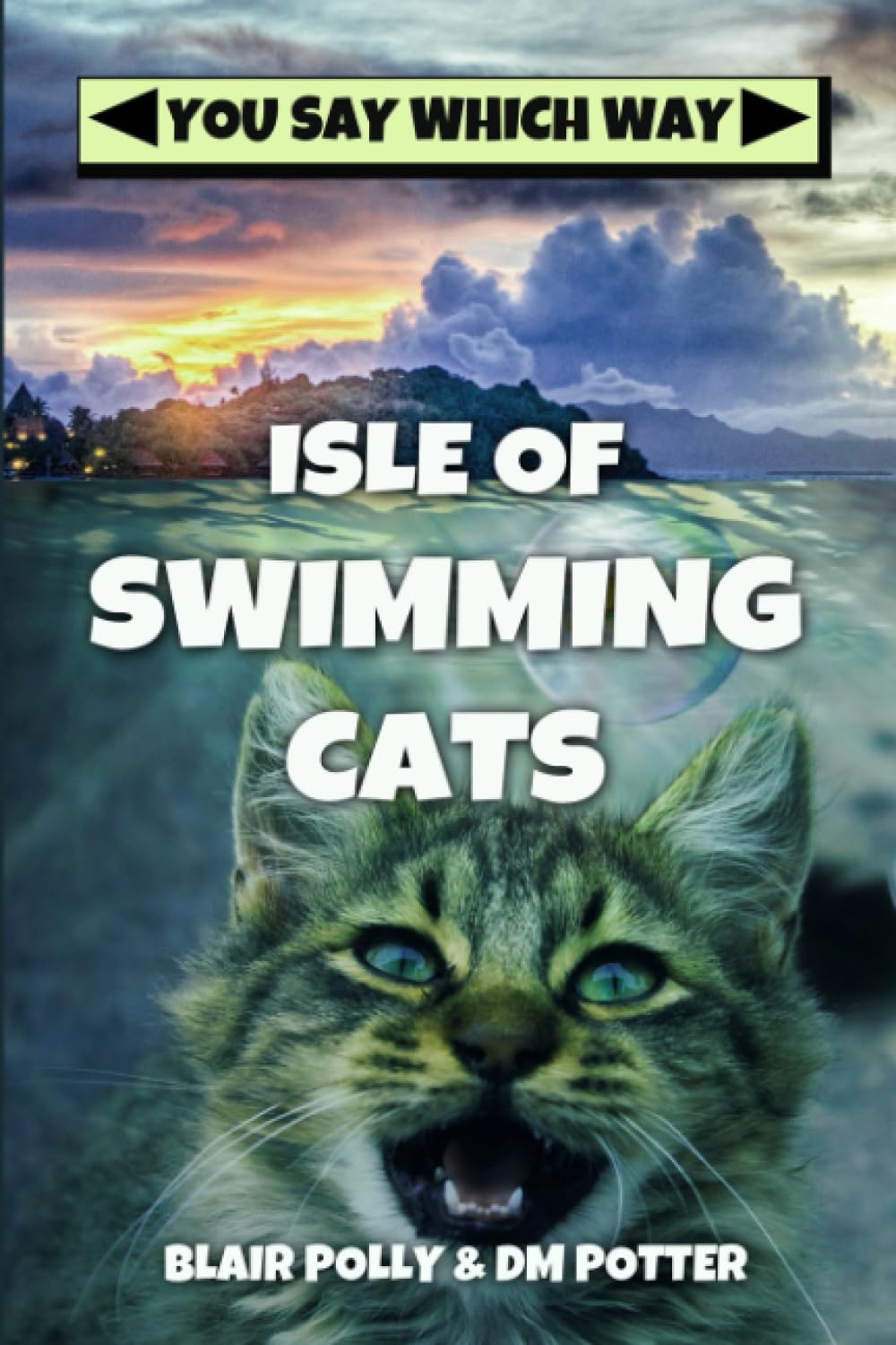 Isle of Swimming Cats (You Say Which Way) By Blair Polly, DM Potter