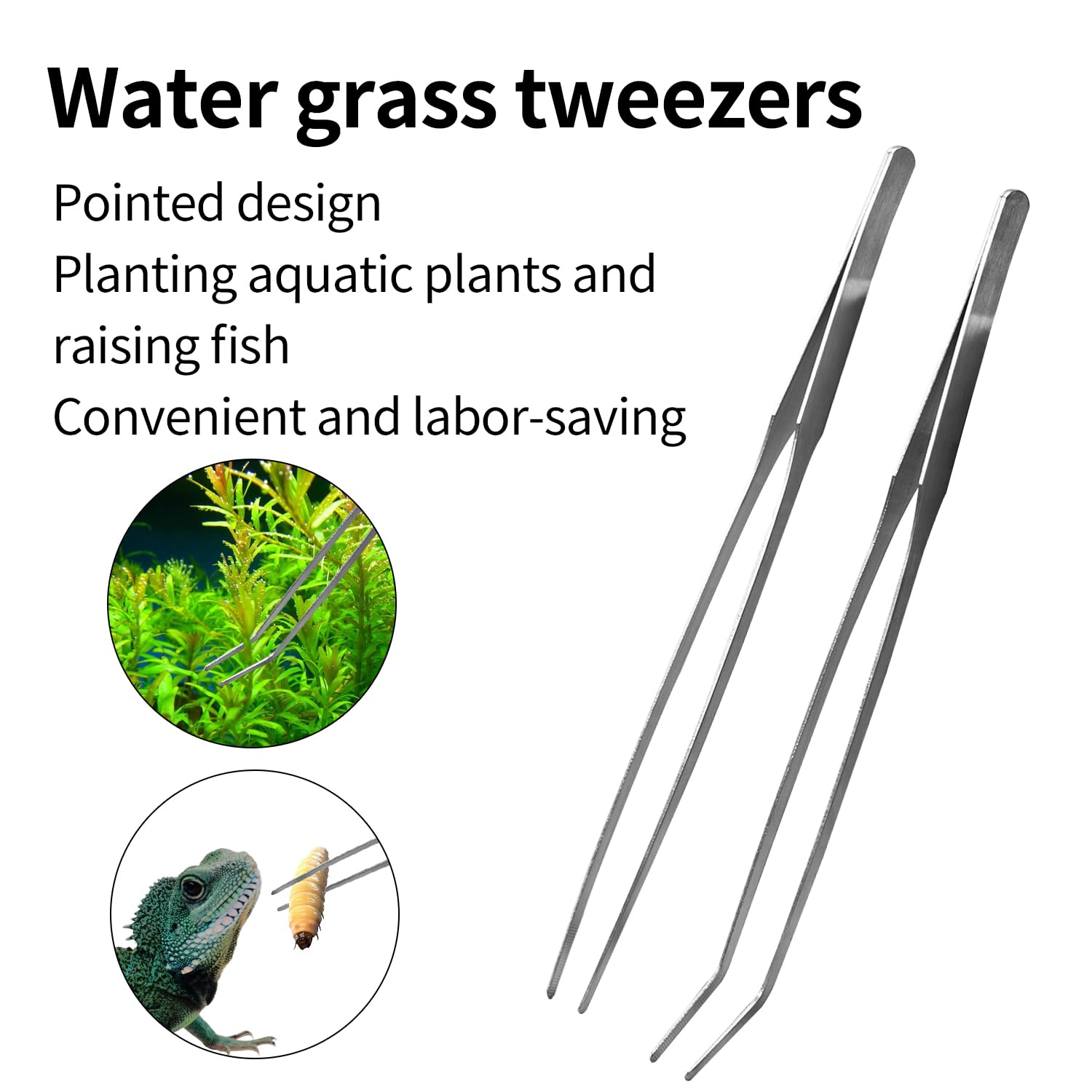 5 in 1 Set Acquario Forbici, Pinzette, Spatola e Strumenti Aquascaping Inossidabile per Terrario