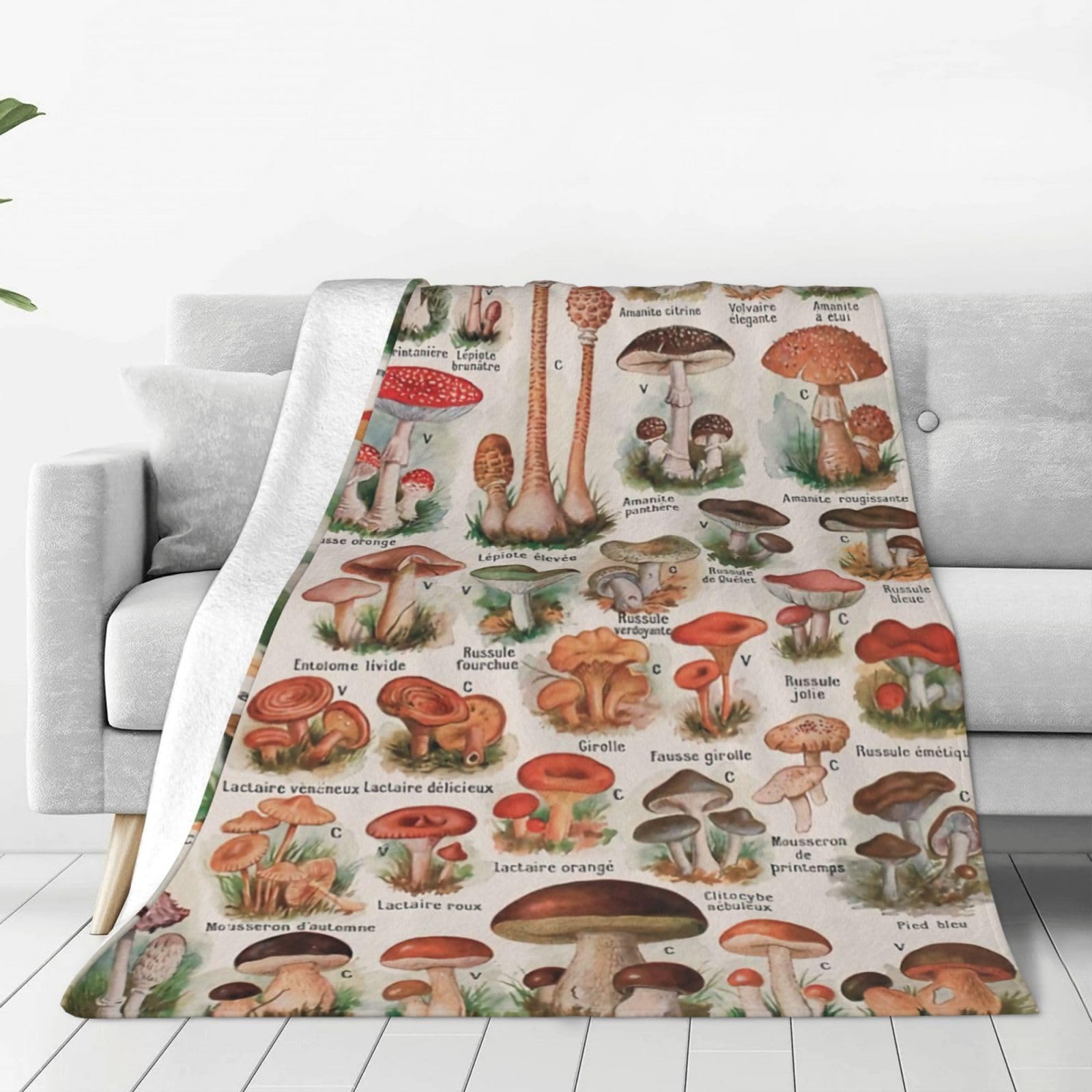 Amazon｜Chioee ブランケット フランネル ひざ掛け キノコ百科 キノコ