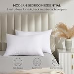 LAVANCE 2 Pack Luxury Hotel Fluffy Queen Sleeping Pillows | Brand New 3D Hollow Fiber Filling Brings Cloud-like Soft Comfort, Honeycomb Embossed Cover, Queen Size 20"x30"