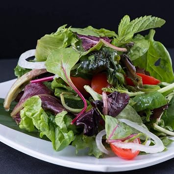 Mountain Valley Seed Co Gourmet Mixed Lettuce Greens Garden Seeds 1 Oz