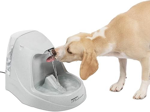 PetSafe Drinkwell Platinum o fuente de agua de 1 galón para mascotas Fuente para beber para gatos y perros pequeños a medianos Platinum