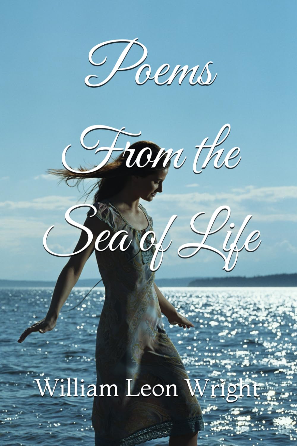 Poems From the Sea of Life