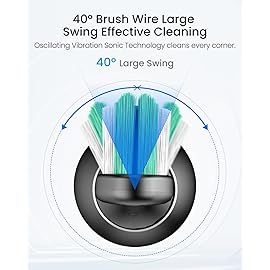 Rtauys S5 Sweeping Electric Toothbrush - Rechargeable Electric Toothbrushes with 8 Heads, Power Electric Toothbrush with Holder, 2.5 Hours Charge for 45 Days Battery Life - Black