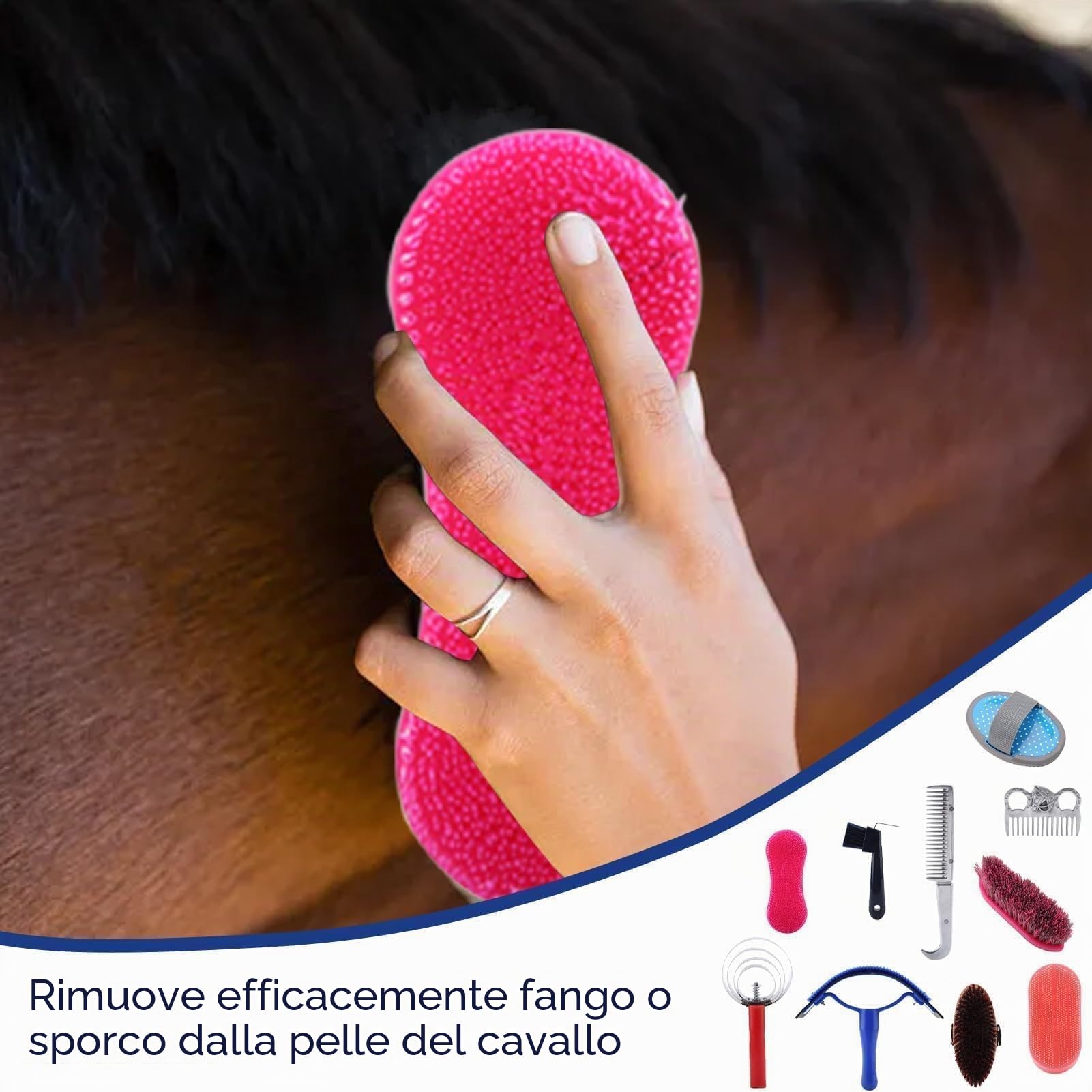 10 Pezzi Kit Per Tolettatura del Cavallo, Set di Forniture Per Tack Room Set di Spazzole Per Cavalli Forniture Per Il Bagno del Cavallo Per Cavalieri Principianti
