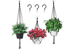 Alluring Black Plant Hangers: Adorn Your Plants with Grace