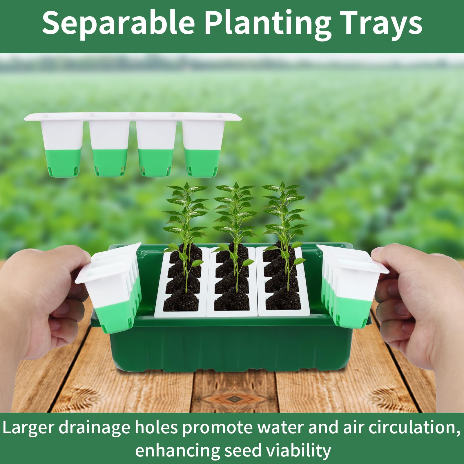 Sondiko Plateau de démarrage de graines avec cellules en silicone souple, kit de démarrage de semis réutilisable à 80 cellules, plateaux de démarrage de semis avec dôme d'humidité, mini kit de
