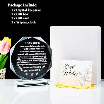 YWHL Best Boss Gifts for Women Men Going Away Appreciation Gifts for Boss Lady Male Crystal Office Keepsake Present for Boss Leader Boss Day Retirement Christmas Birthday Gifts for Boss