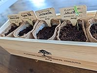 Review Image by Chelsea Edwards Chelsea Edwards