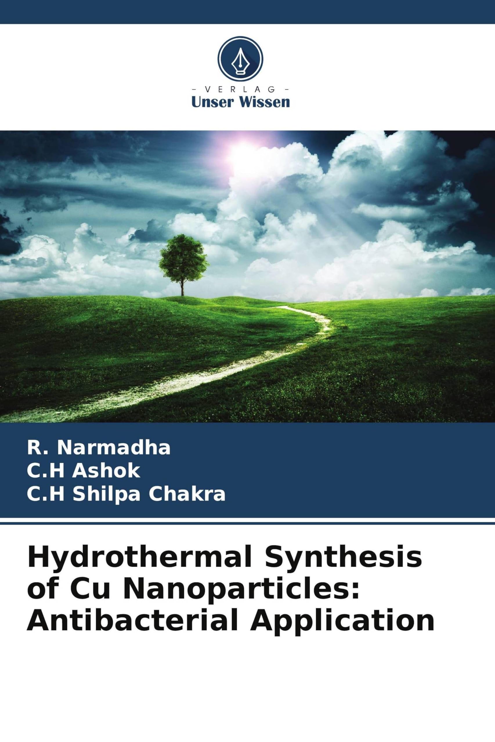 Hydrothermal Synthesis of Cu Nanoparticles: Antibacterial Application