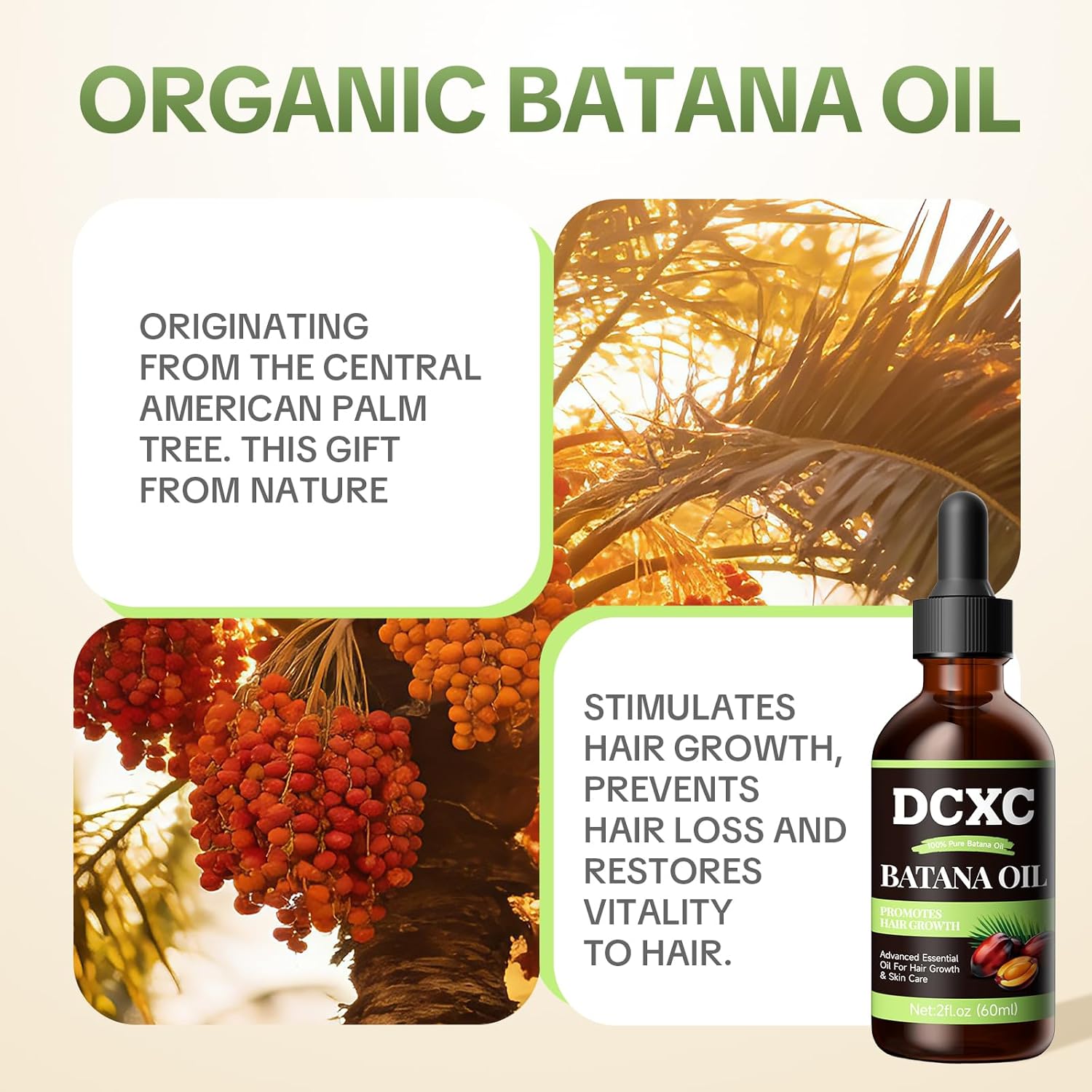 100% Pure Batana Oil for Hair Growth - Natural Scalp Care & Hair Thickening Treatment | Revitalizes Damaged Hair, Reduces Breakage & Enhances Shine | Deep Conditioner for All Hair Types - 2oz