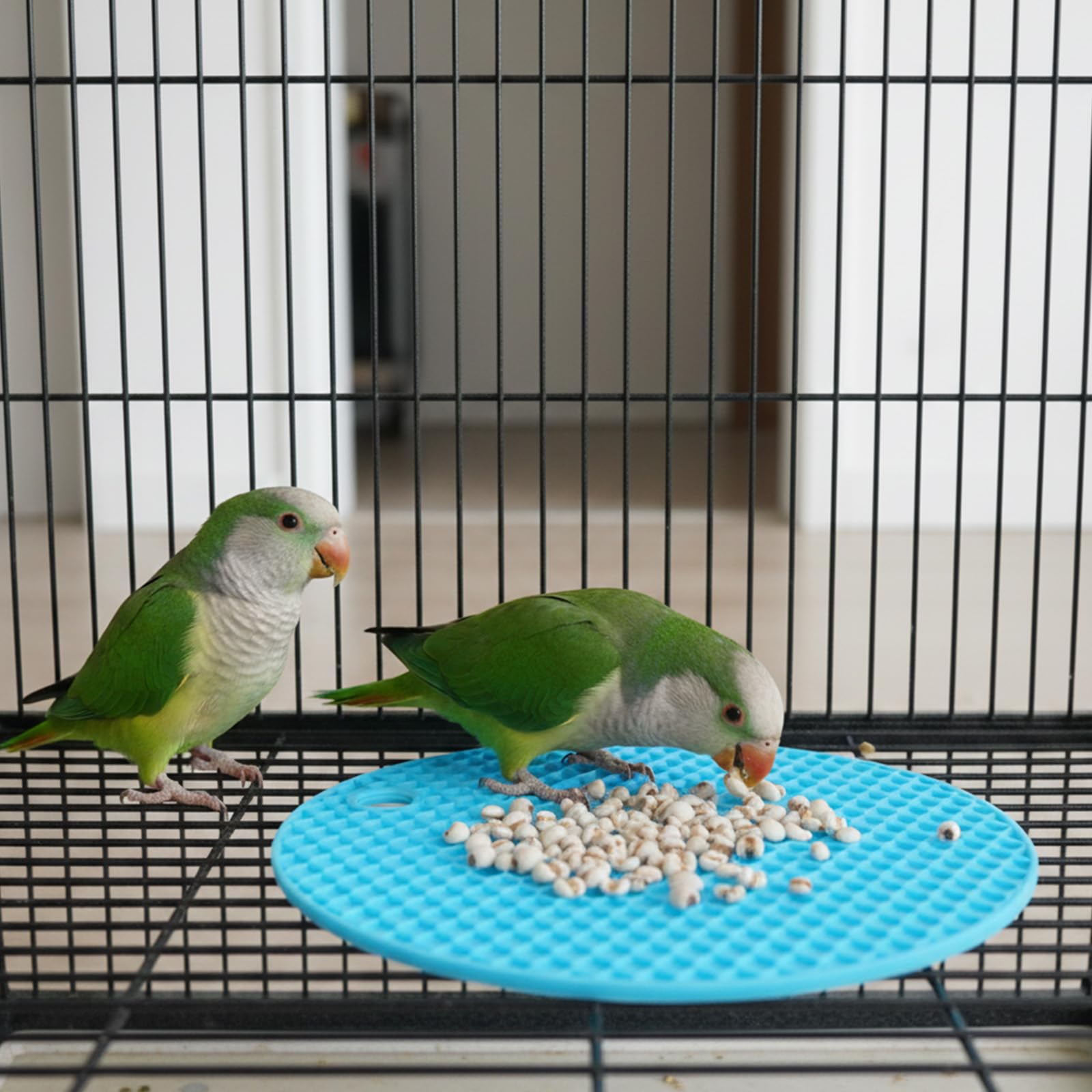 2 Pcs Bird Slow Feeder Mats, Interactive Foraging Mat, Extend Eating Time, Birds Toy for Parakeet, Cockatiel, African Grey, Conure (Blue & Grey) - image 6