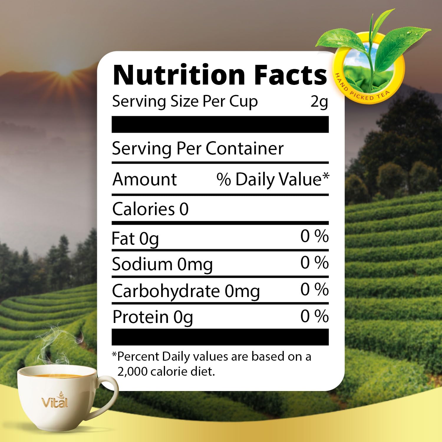 Eastern Vital Black Tea 600 Teabags Institutional Pack, Bulk Chai Tea Bags for Catering, Office & Food Service, Rich & Robust Black Tea for Chai Latte, Iced Tea & Daily Brewing