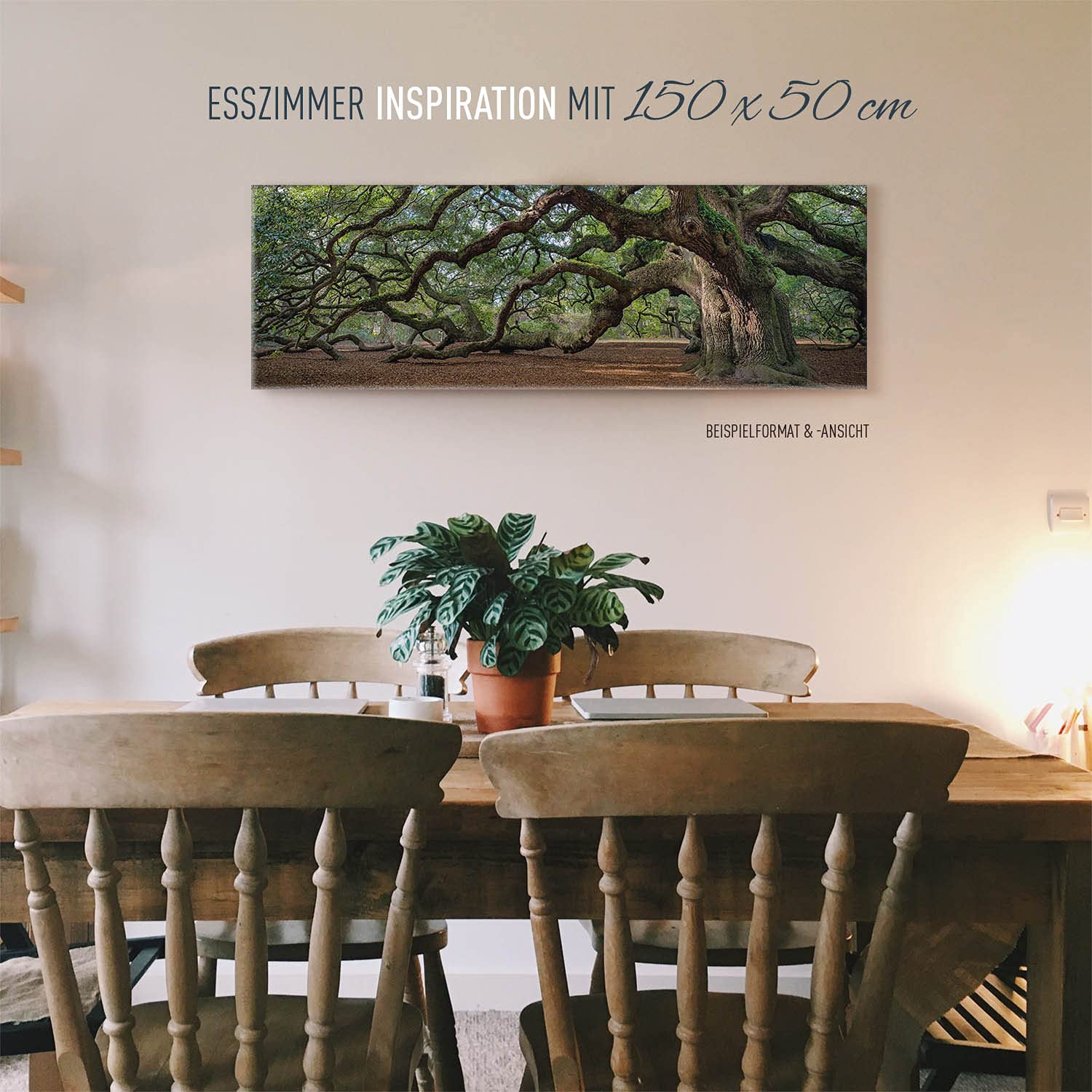 BilderKing Wandbild Baum Alte Eiche - 150cm x 100cm Leinwand auf 4cm Keilrahmen