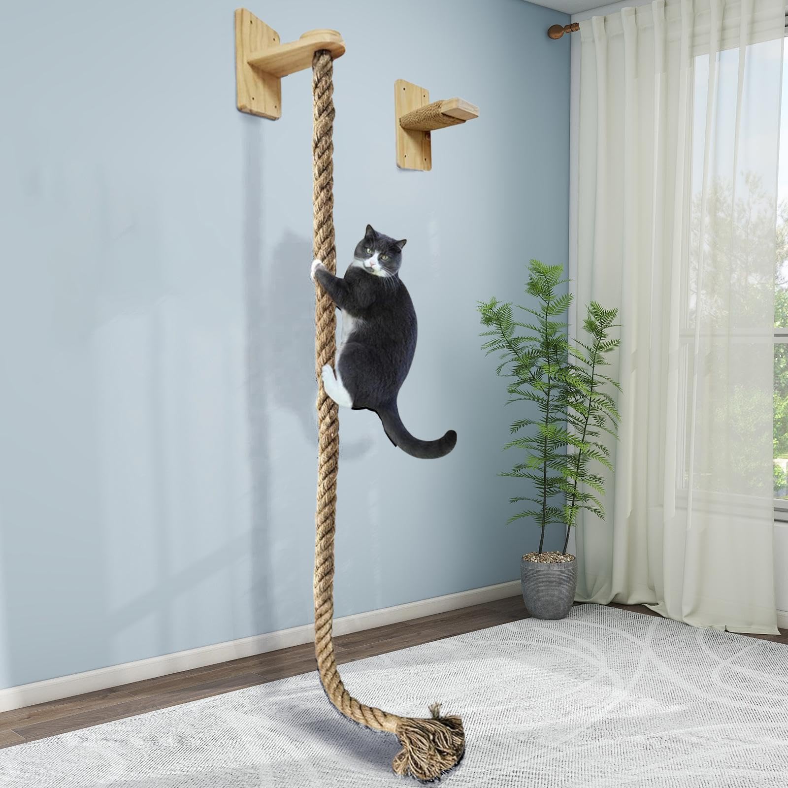 キャットクライミング　猫用 Amazon | Cuticate 【2025新開発・最大耐荷重30KG】猫用