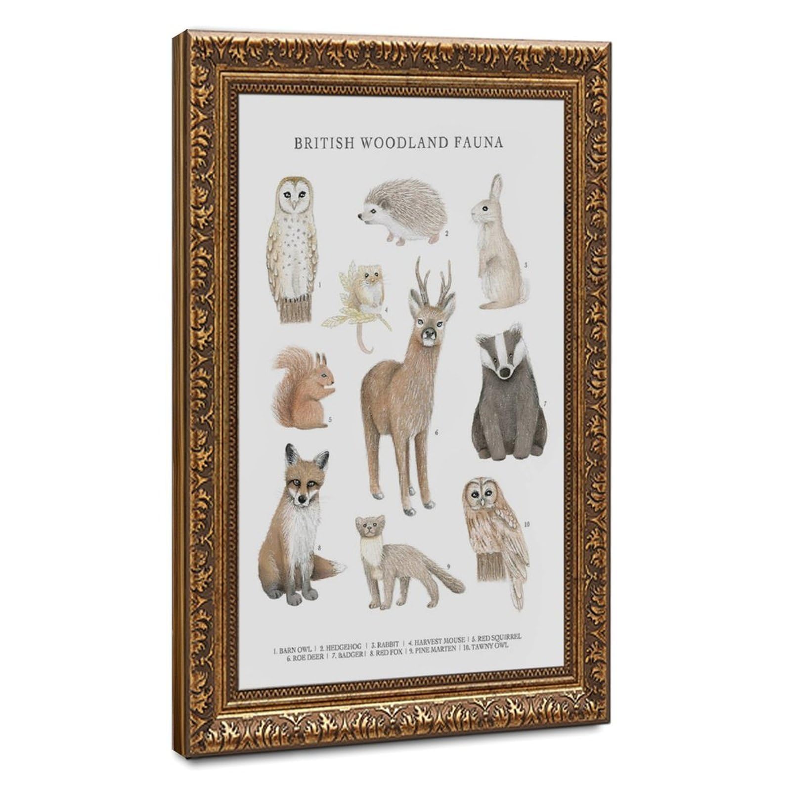 Bareronor Woodland Animals Canvas Poster for Dorm Room Decor Gift