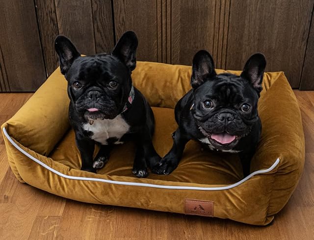 Foto 2 de 3 de FUUFEE Lux Cama para Perros