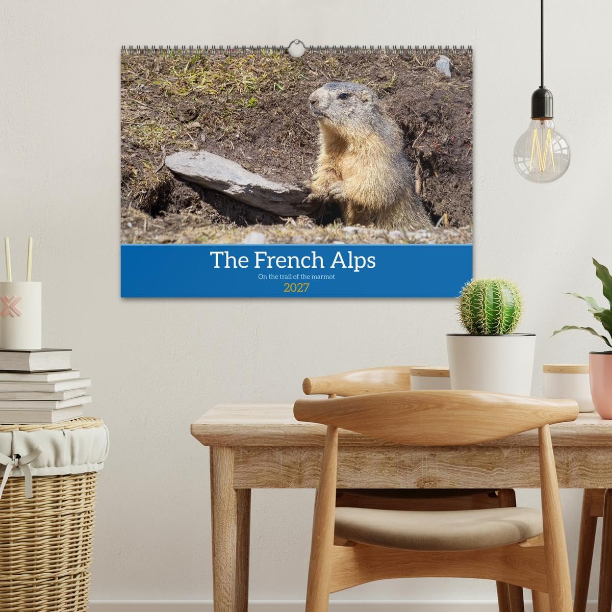 The French Alps, on the trail of the marmot (Wall Calendar 2027 DIN A3 landscape), CALVENDO 12 Month Wall Calendar: The marmot's waking environment
