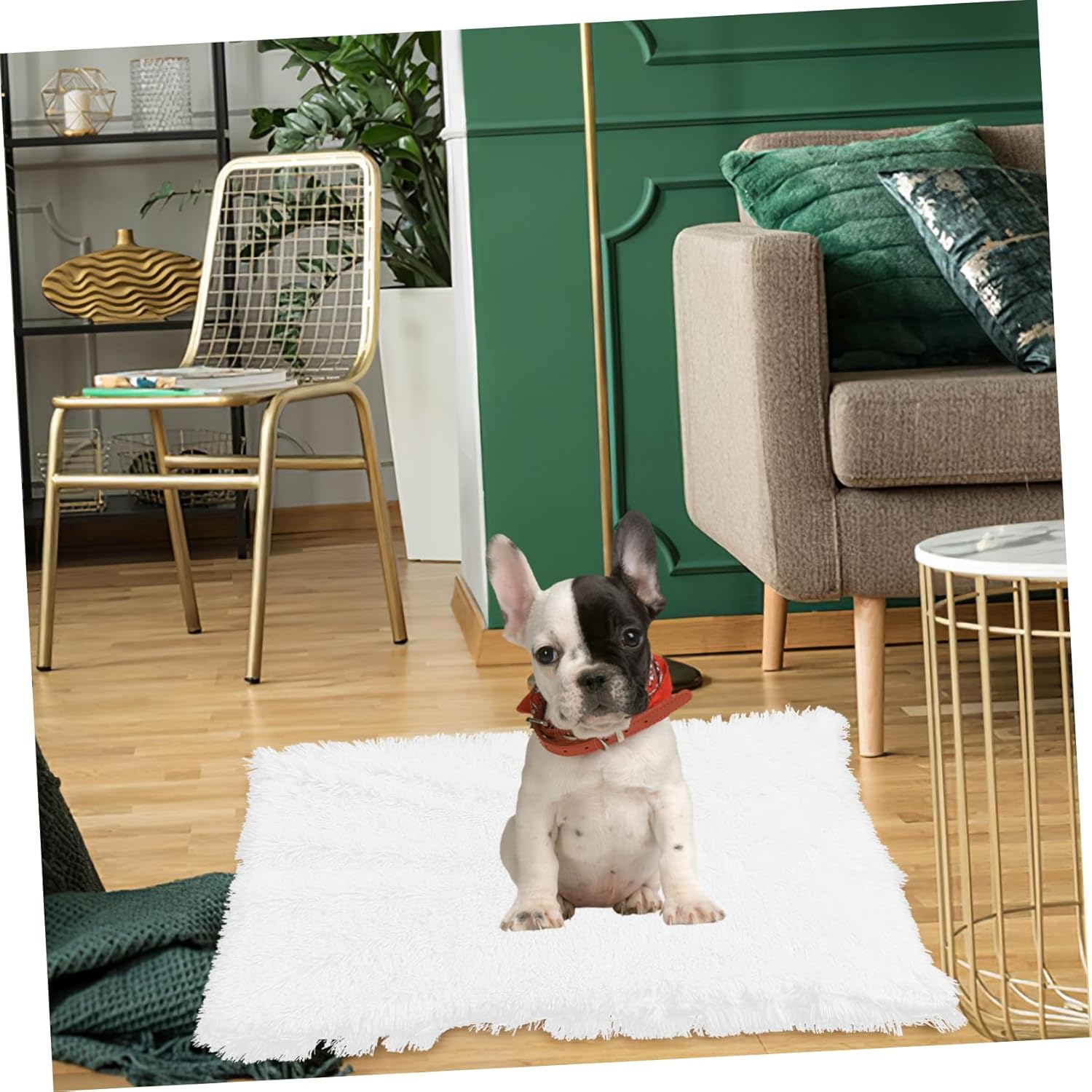 BESPORTBLE 3pcs Dog Blanket Cushion for Dogs and Cats Sleeping Mat for All Seasons for Sofa and Use Soft and Supplies