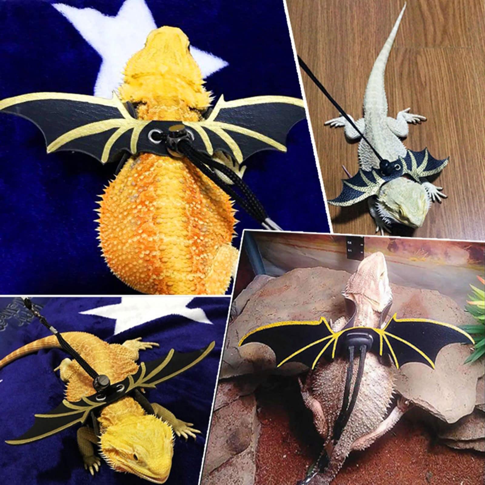 Dragón barbudo para transportador que camina con accesorios de dragón barbudo + para entrenamiento con bolsa de transporte