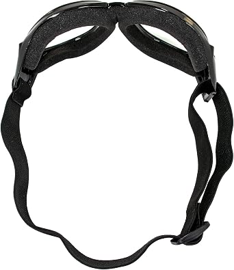 Eyewear Eagle Motorcycle Goggles