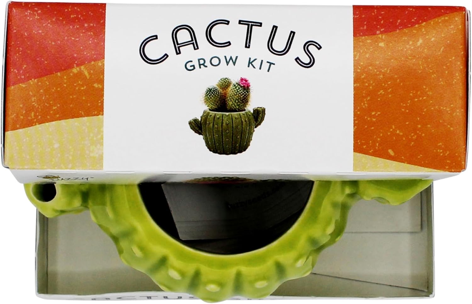 BUZZY Seeds 4pk Mini Cactus Grow Kit with Ceramic Planter, Succulent Seeds, Growing Medium, Easy Instructions, Indoor Gardening Gift for Beginners, Birthdays, Housewarming and Home or Office Decor