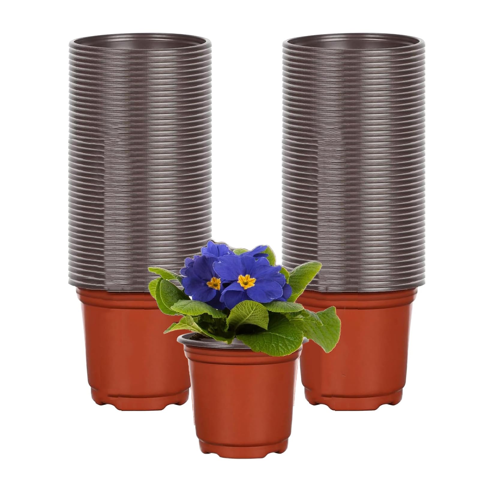 KPYZLBD Anzuchtköpfe 100 Stück, Pflanztopf Plastik 10cm, Grow Töpfe, Pflanzenbau Töpfe Pflanzen, Pflanzliche Saatgutanbau Blumentopf, Häufig für Gemüse, Obst und krautige Pflanzen Universal