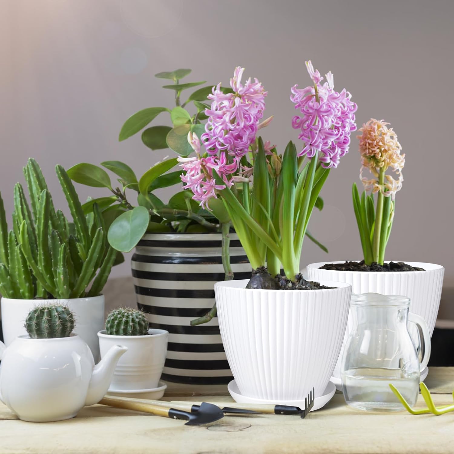 7 Inch Large Plant Pots, 6 Pack Flower Pots with Drainage Hole and Tray Saucer Plastic Plant Pot for Outdoor Indoor House Plants and Flowers Herbs (White)