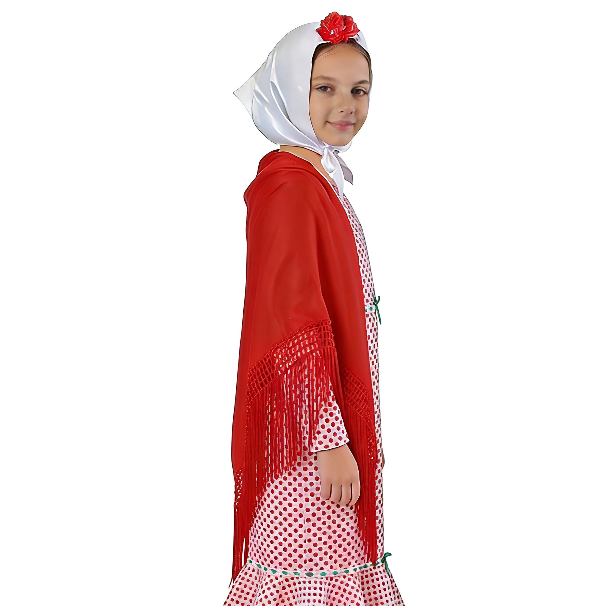 Wildarms Mantón de Sevillana Bordado con Flecos para Flamenco Feria Disfraz Baile Tradicional Mujer — view 5