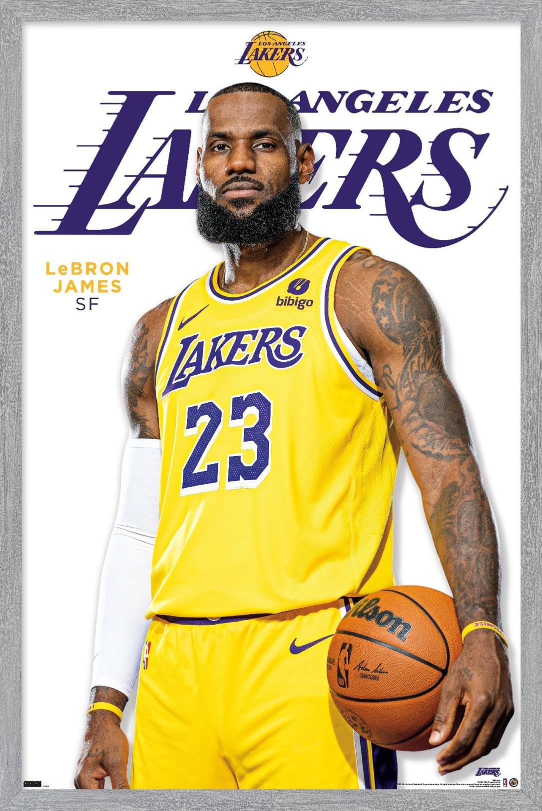 Trends International NBA Los Angeles Lakers - LeBron James Feature Series 23 Wall Poster, 22.4L x 14.7W, Gray Framed Version